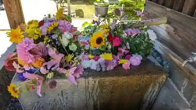 勝林寺(京都府)