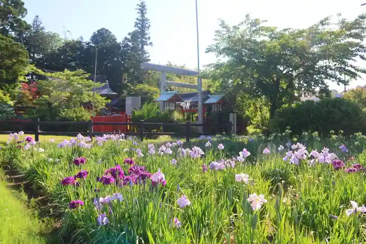 大鏑矢神社の景色