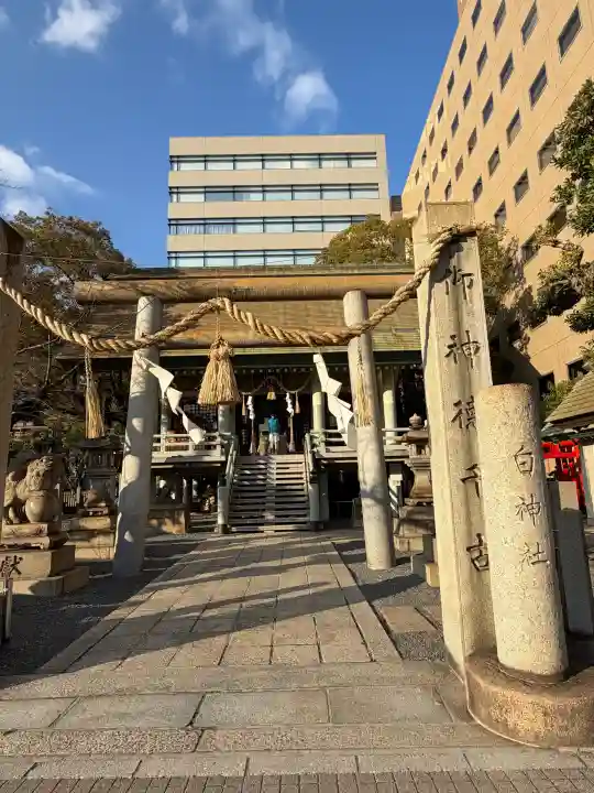 白神社の{uncategorized: "未分類", other: "その他", undefined: "問題あり", building: "その他建物", grave: "お墓", sacred_gate: "鳥居", guardian: "狛犬", statue: "像", buddha: "仏像", history: "歴史", nature: "自然", garden: "庭園", animal: "動物", pagoda: "塔", temizu: "手水舎", mountain_gate: "山門・神門", sanctuary: "本殿・本堂", subordinate: "末社・摂社", art: "芸術", scenery: "景色", jizo: "地蔵", ema: "絵馬", goshuin: "御朱印", omikuji: "おみくじ", items: "授与品その他", amulet: "お守り", goshuincho: "御朱印帳", eats: "食事", festival: "お祭り", votive_dance: "神楽", shichigosan: "七五三参", wedding: "結婚式", experience: "体験その他", initially: "初詣", around: "周辺", anti_infection: "感染症対策"}