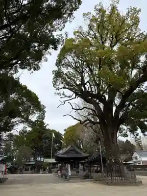 挙母神社(愛知県)