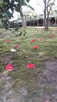 城南宮(京都府)