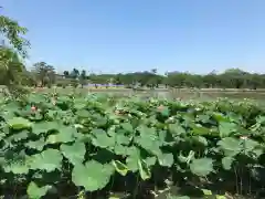 牟禮山観音禅寺の周辺