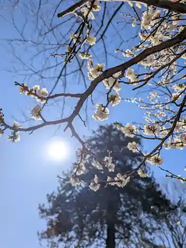 瑞円寺(東京都)
