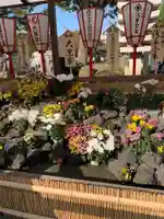 浅草寺のその他建物