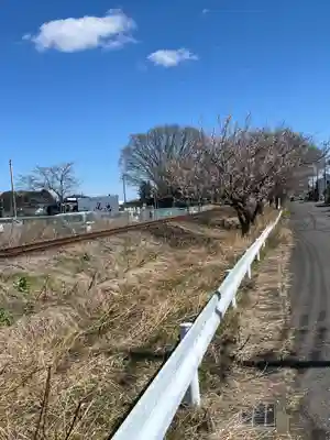 大前神社(栃木県)
