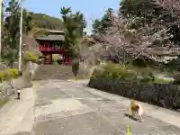 清雲寺の{uncategorized: "未分類", other: "その他", undefined: "問題あり", building: "その他建物", grave: "お墓", sacred_gate: "鳥居", guardian: "狛犬", statue: "像", buddha: "仏像", history: "歴史", nature: "自然", garden: "庭園", animal: "動物", pagoda: "塔", temizu: "手水舎", mountain_gate: "山門・神門", sanctuary: "本殿・本堂", subordinate: "末社・摂社", art: "芸術", scenery: "景色", jizo: "地蔵", ema: "絵馬", goshuin: "御朱印", omikuji: "おみくじ", items: "授与品その他", amulet: "お守り", goshuincho: "御朱印帳", eats: "食事", festival: "お祭り", votive_dance: "神楽", shichigosan: "七五三参", wedding: "結婚式", experience: "体験その他", initially: "初詣", around: "周辺", anti_infection: "感染症対策"}