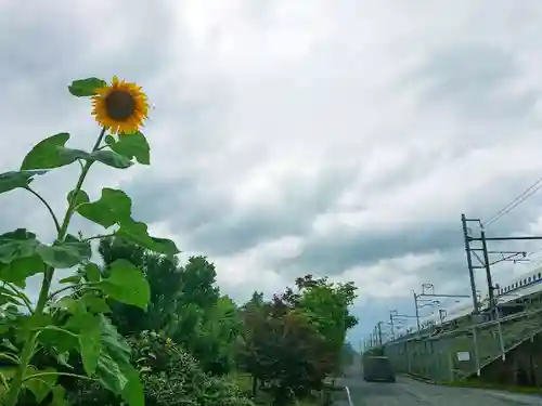 矢合観音の自然