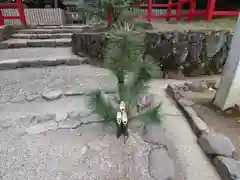 檜原神社（大神神社摂社）の建物その他