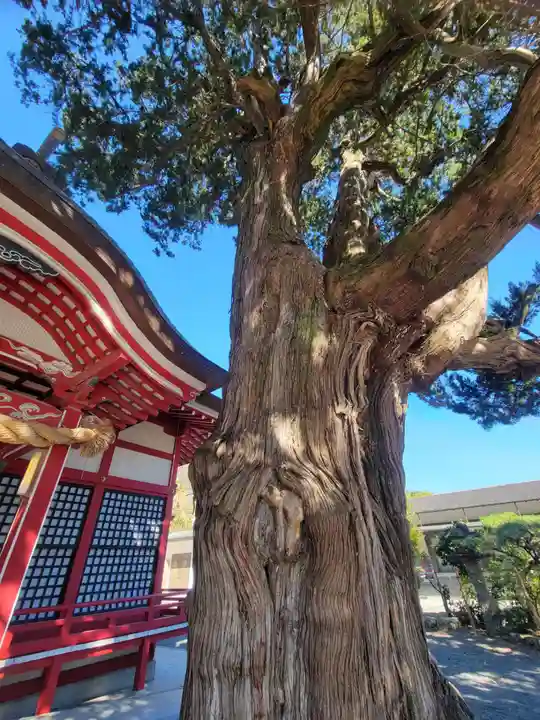 八幡神社(愛媛県)