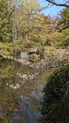 龍安寺(京都府)