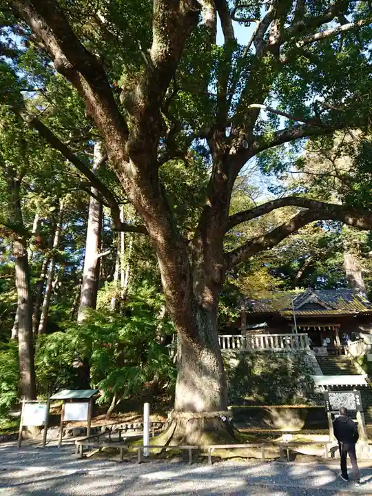 事任八幡宮の自然