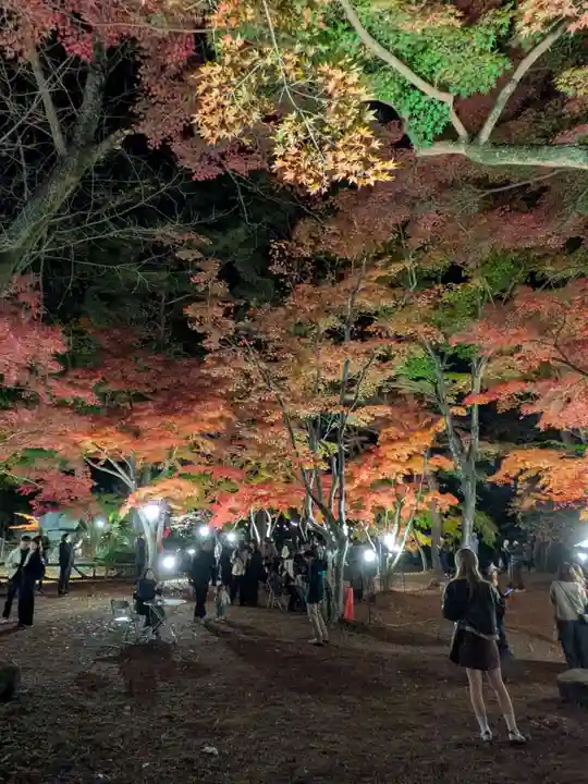 宝登山神社(埼玉県)