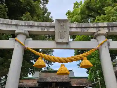 野田八幡宮(愛知県)