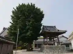 真如寺の建物その他