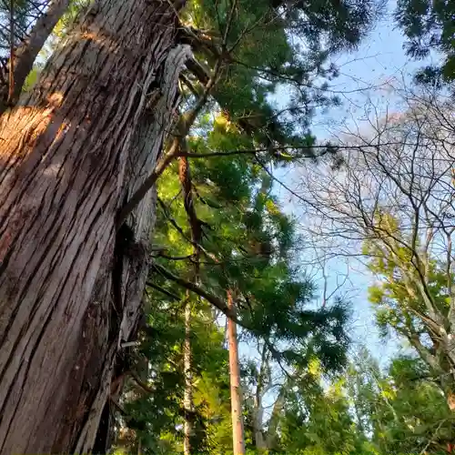 磐椅神社(福島県)