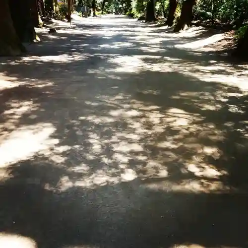 鹿島神宮の自然