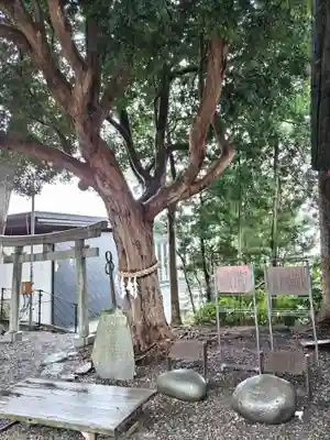 玉前神社(千葉県)