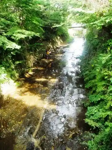 東勝寺跡の自然
