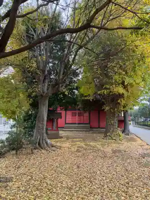 金比羅神社(千葉県)