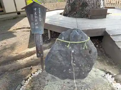 平野神社(京都府)