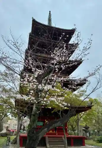上野東照宮(東京都)