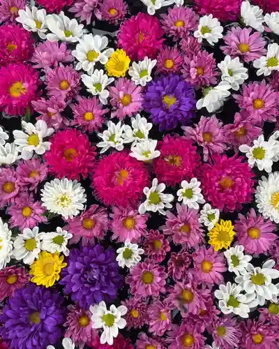 大鏑神社(福島県)