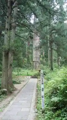 羽黒山五重塔(出羽三山神社)(山形県)