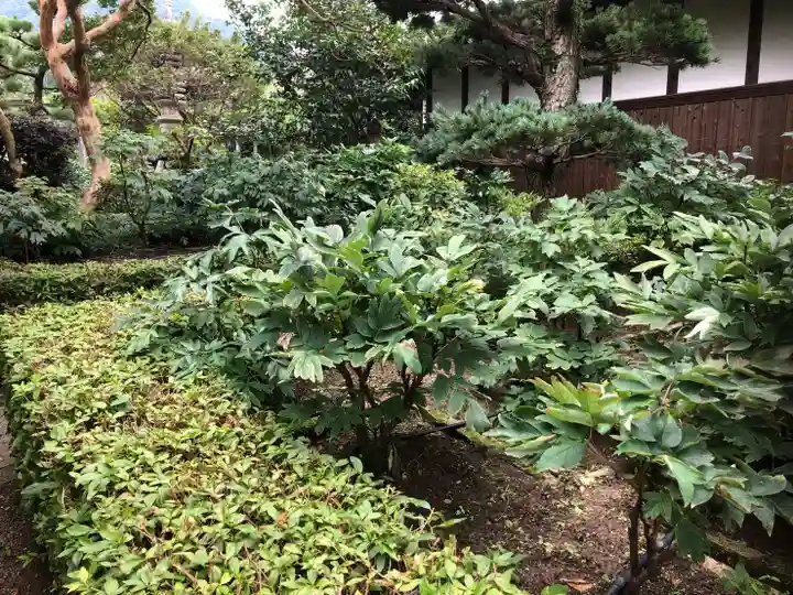 石光寺の自然