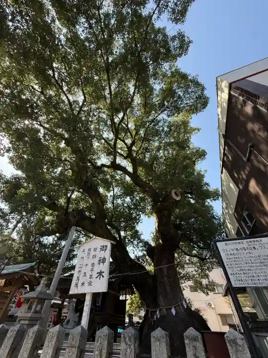 大神社の{uncategorized: "未分類", other: "その他", undefined: "問題あり", building: "その他建物", grave: "お墓", sacred_gate: "鳥居", guardian: "狛犬", statue: "像", buddha: "仏像", history: "歴史", nature: "自然", garden: "庭園", animal: "動物", pagoda: "塔", temizu: "手水舎", mountain_gate: "山門・神門", sanctuary: "本殿・本堂", subordinate: "末社・摂社", art: "芸術", scenery: "景色", jizo: "地蔵", ema: "絵馬", goshuin: "御朱印", omikuji: "おみくじ", items: "授与品その他", amulet: "お守り", goshuincho: "御朱印帳", eats: "食事", festival: "お祭り", votive_dance: "神楽", shichigosan: "七五三参", wedding: "結婚式", experience: "体験その他", initially: "初詣", around: "周辺", anti_infection: "感染症対策"}
