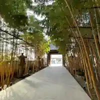 梅窓院の山門・神門