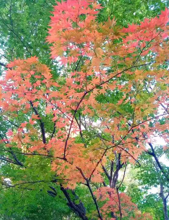 穴八幡宮(東京都)