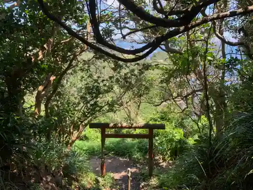 大杉神社の鳥居