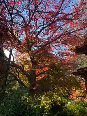 二伝寺（ニ傳寺）(神奈川県)