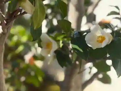 西方山極楽寺(岐阜県)