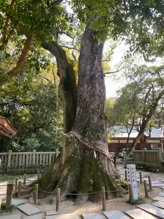 伊弉諾神宮(兵庫県)
