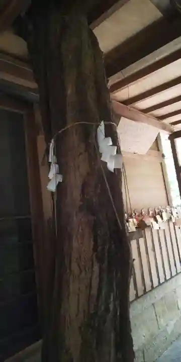 嚴島神社 (京都御苑)の自然