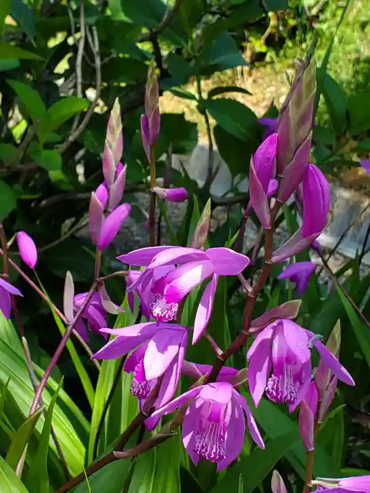 石都々古和気神社(福島県)