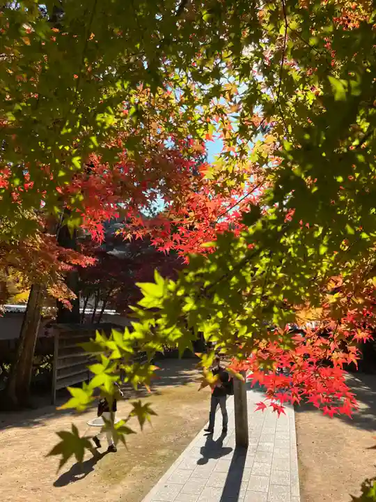 一乗寺(兵庫県)