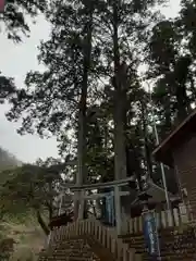 九頭龍神社(東京都)