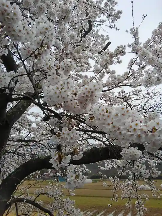高司神社〜むすびの神の鎮まる社〜の自然