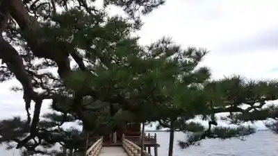 満月寺（浮御堂）のその他建物