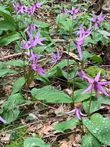 足羽神社(福井県)