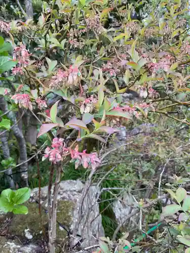 恵利寺の庭園