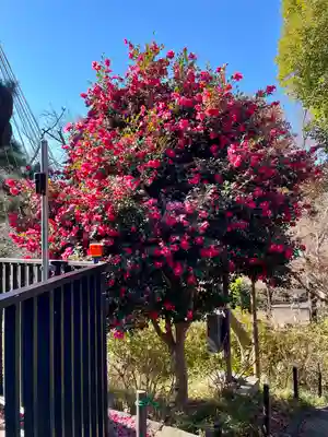 清水観音堂(東京都)