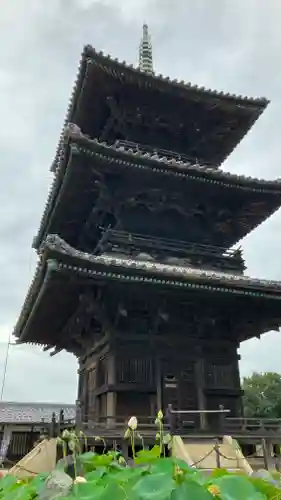 餘慶寺の建物その他