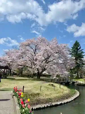 伊佐須美神社(福島県)