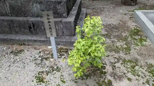 越中白山総社の自然