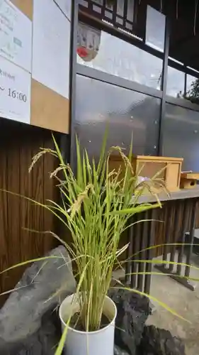 横浜御嶽神社(神奈川県)