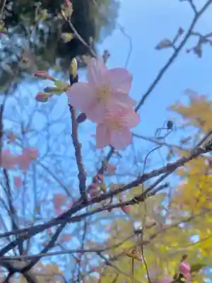 矢奈比賣神社（見付天神）(静岡県)