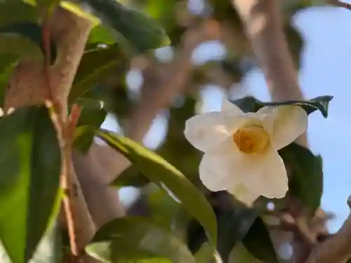 西方山極楽寺(岐阜県)